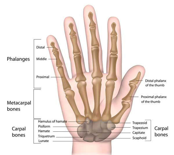 Broken Finger? Check out FingerWeights TODAY!
