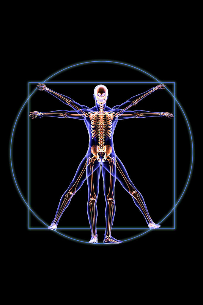 Science Behind Your Hands and Wrists, and why training with FingerWeights matters.