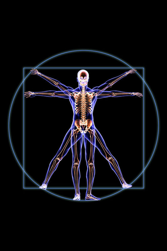 Science Behind Your Hands and Wrists, and why training with FingerWeights matters.